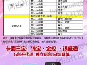银盛通EPOS  银盛灰大机 操作流程